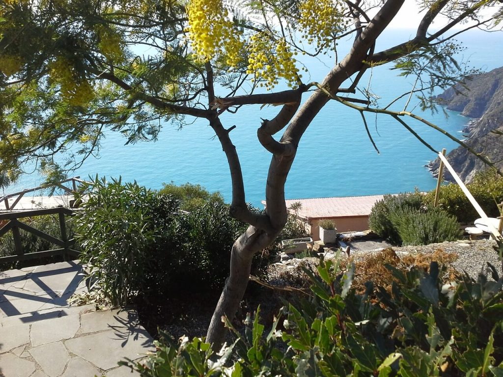Cinque Terre Point de Vue