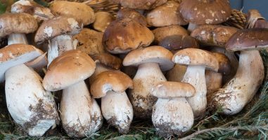 Emincé de veau aux Cèpes
