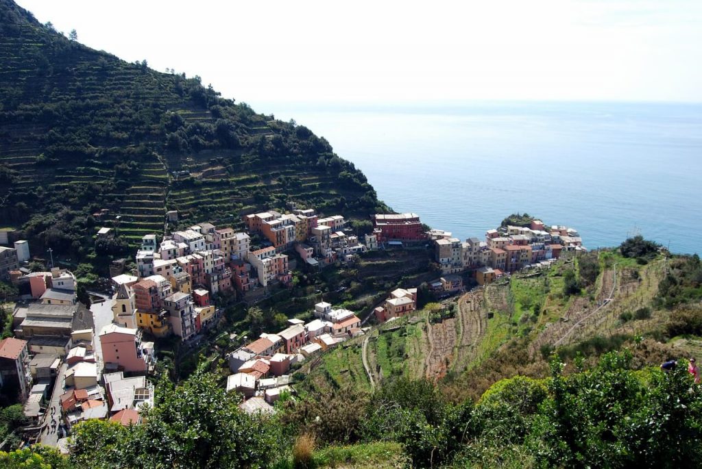 Vignoble des Cinque Terre en restanque