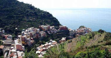 Le Sciacchetrà, le vin des Cinque Terre