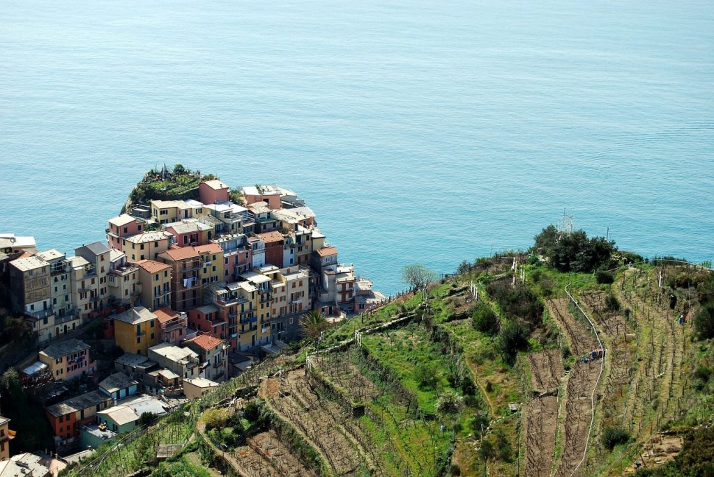 Vignoble des Cinque Terre