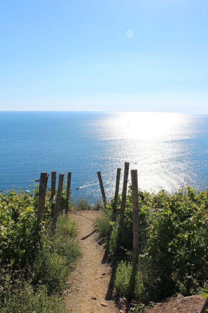 Vin Cinque Terre