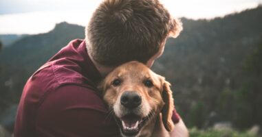 Voyager avec un chien dans les Cinque Terre