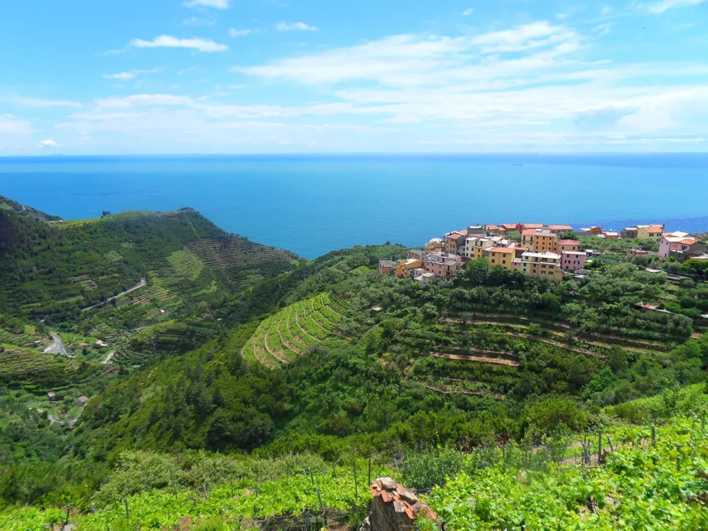 Vue du vignoble Cinq Terre