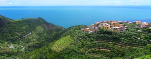 Vue du vignoble Cinq Terre