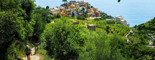 Sentier Cinque Terre Corniglia
