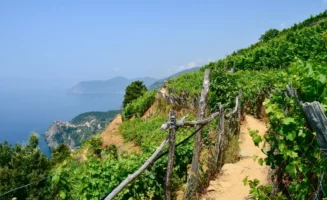 Viticulture héroïque aux Cinque Terre : le vin cultivé entre montagne et Méditerranée